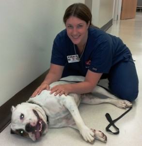 National Veterinary Technician Week Deserves Belly Rubs!